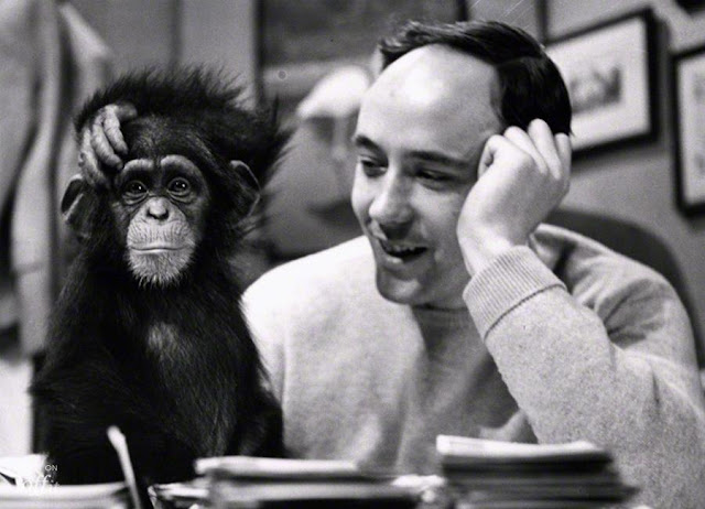 Desmond Morris | El Mono desnudo