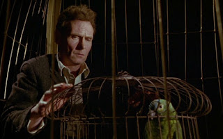 De Sócrates a Wittgenstein: 10 películas sobre filósofos