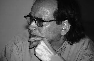 Ideas para una cultura de la paz | por Francisco Fernández Buey